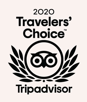 Travelers Choice Logo